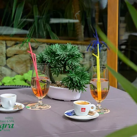 Готель Allegra Balneo & 4*