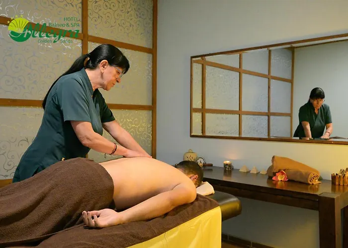 酒店 Allegra Balneo & 4*