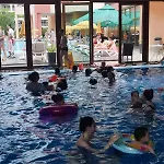 алегра 4*