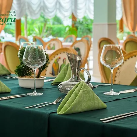 Hotel Allegra Balneo &